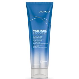 Joico Moisture Recovery Conditioner 250Ml - Direct Hair Supplies